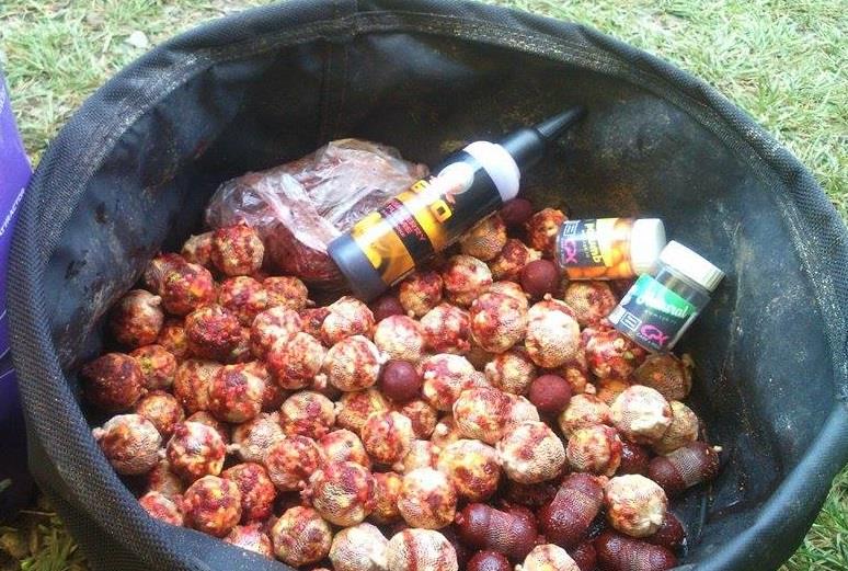 Veste buna pentru pescari. TVA 9% pentru nade si momeli